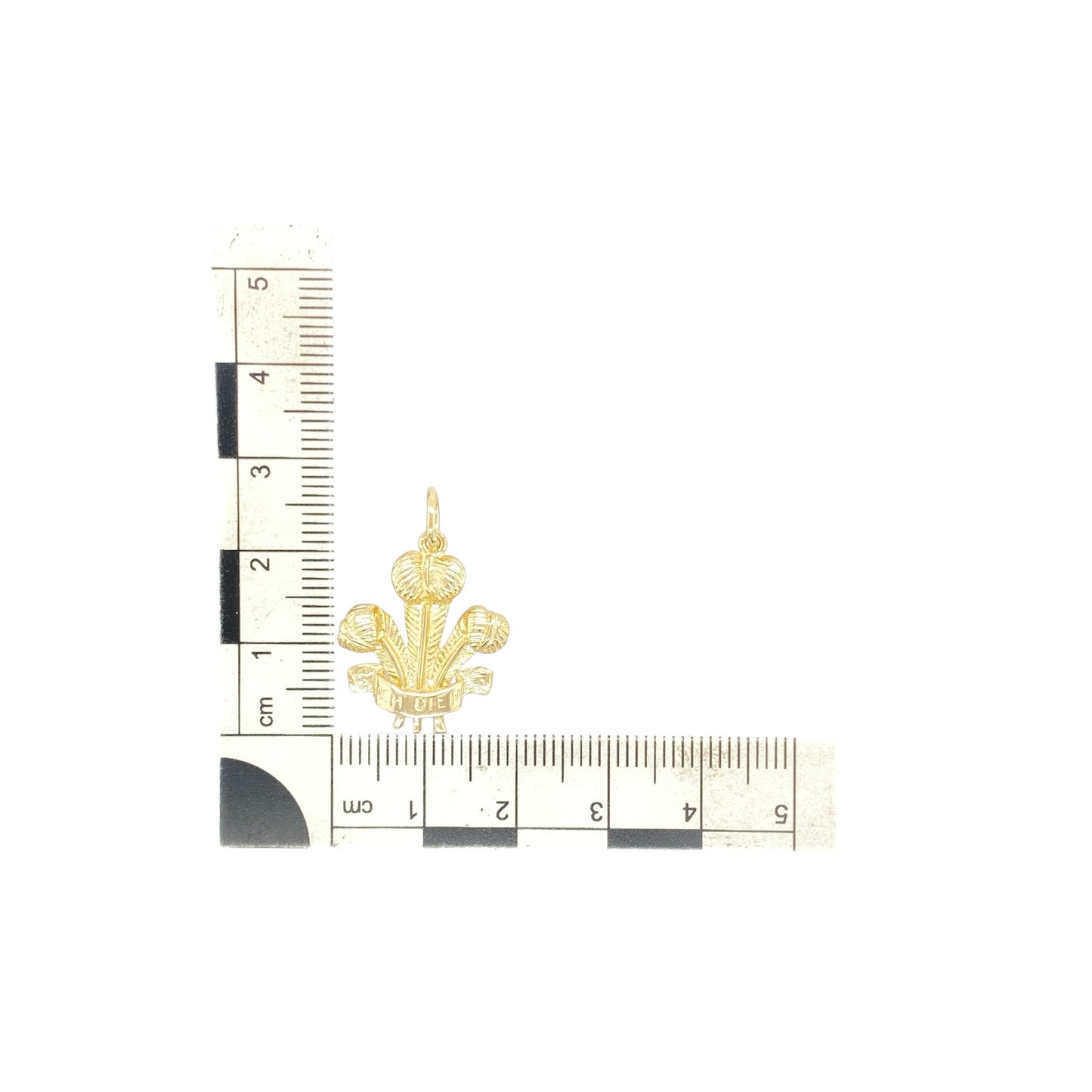 9ct Gold Welsh Three Feathers Pendant