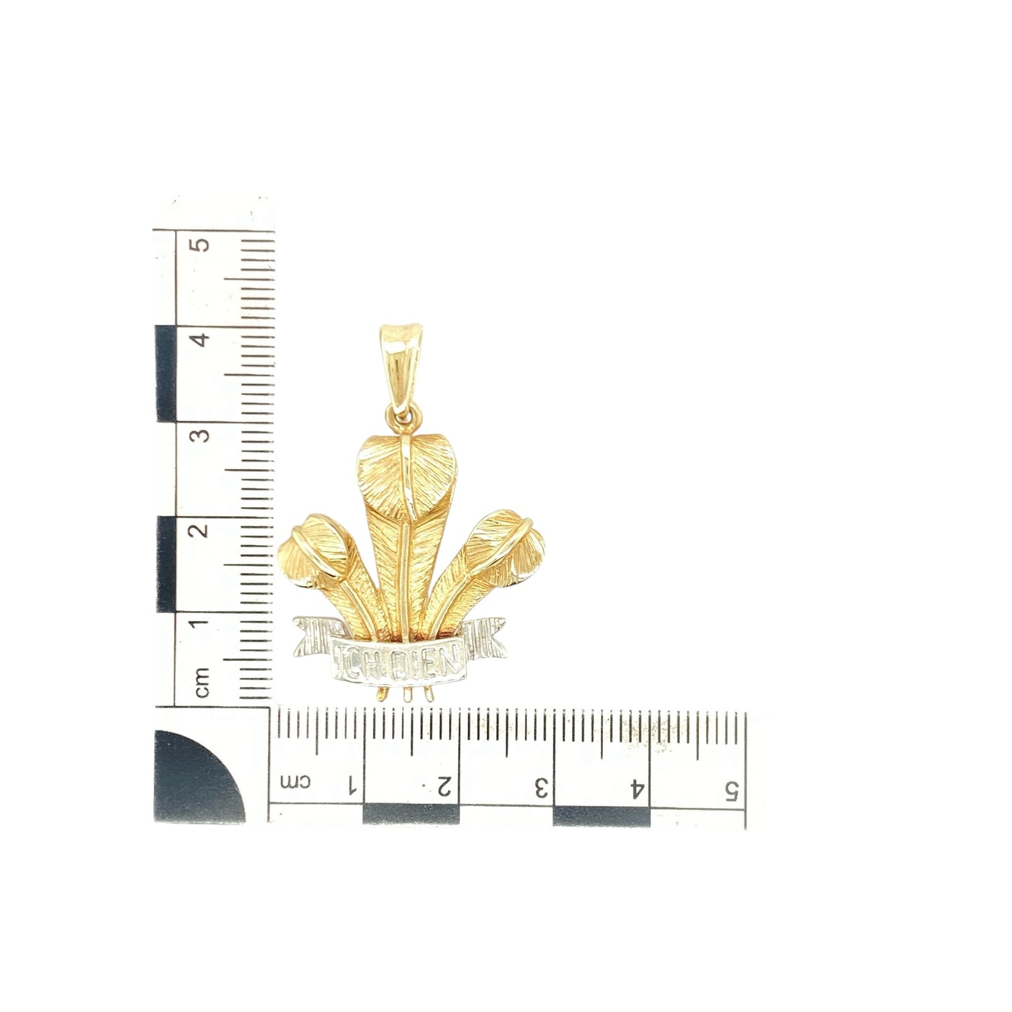 9ct Gold Large Welsh Three Feathers Pendant