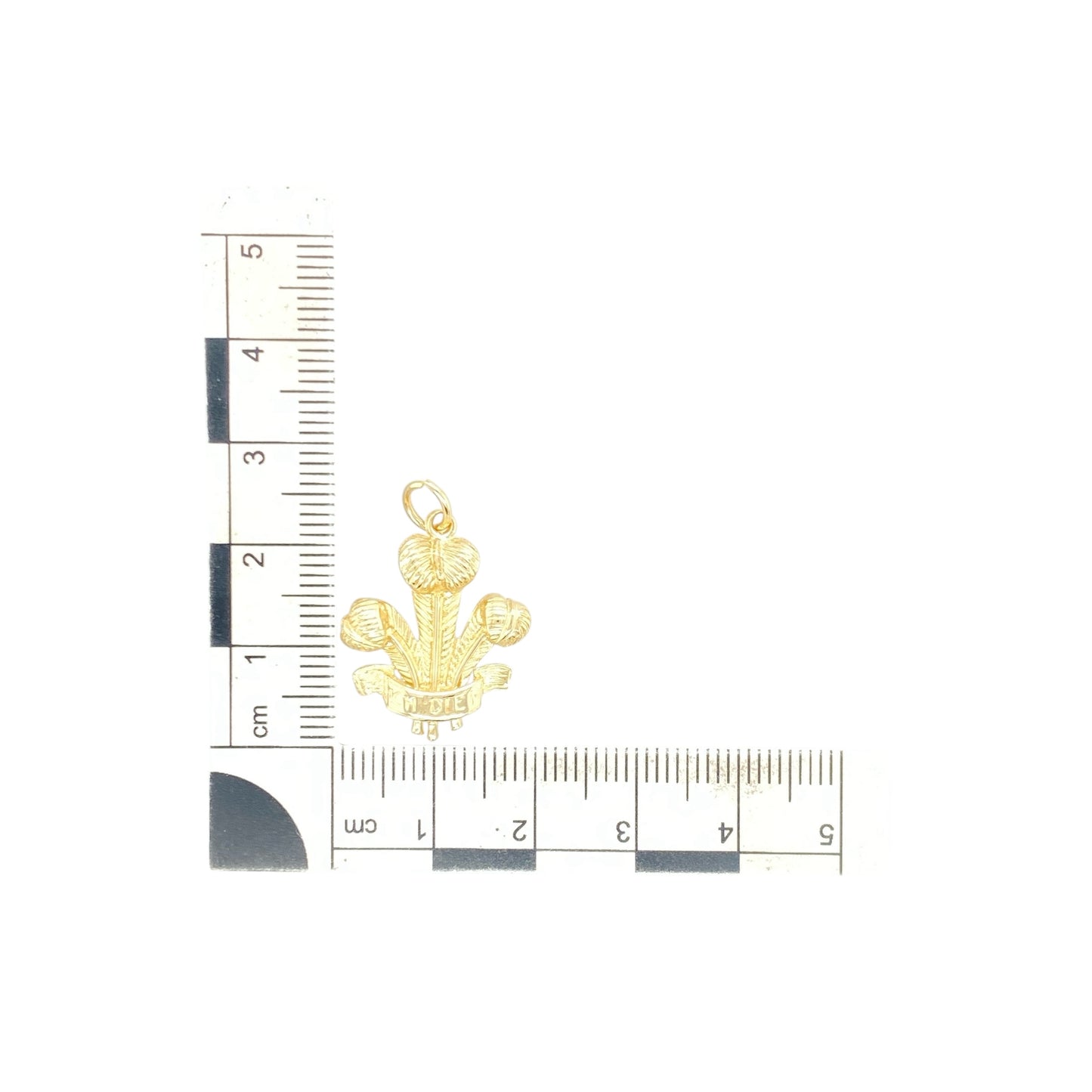 9ct Gold Welsh Three Feathers Pendant