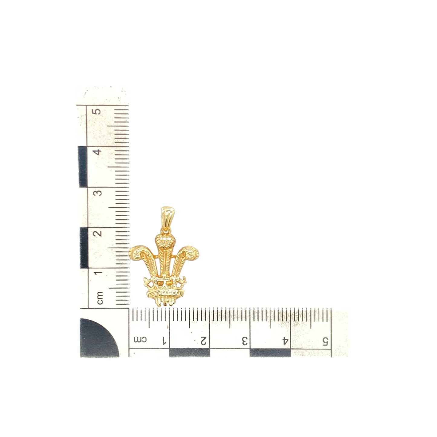 9ct Gold Welsh Three Feathers Pendant