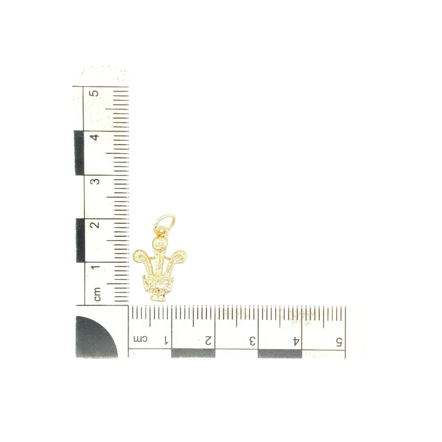 9ct Gold Welsh Three Feathers Pendant