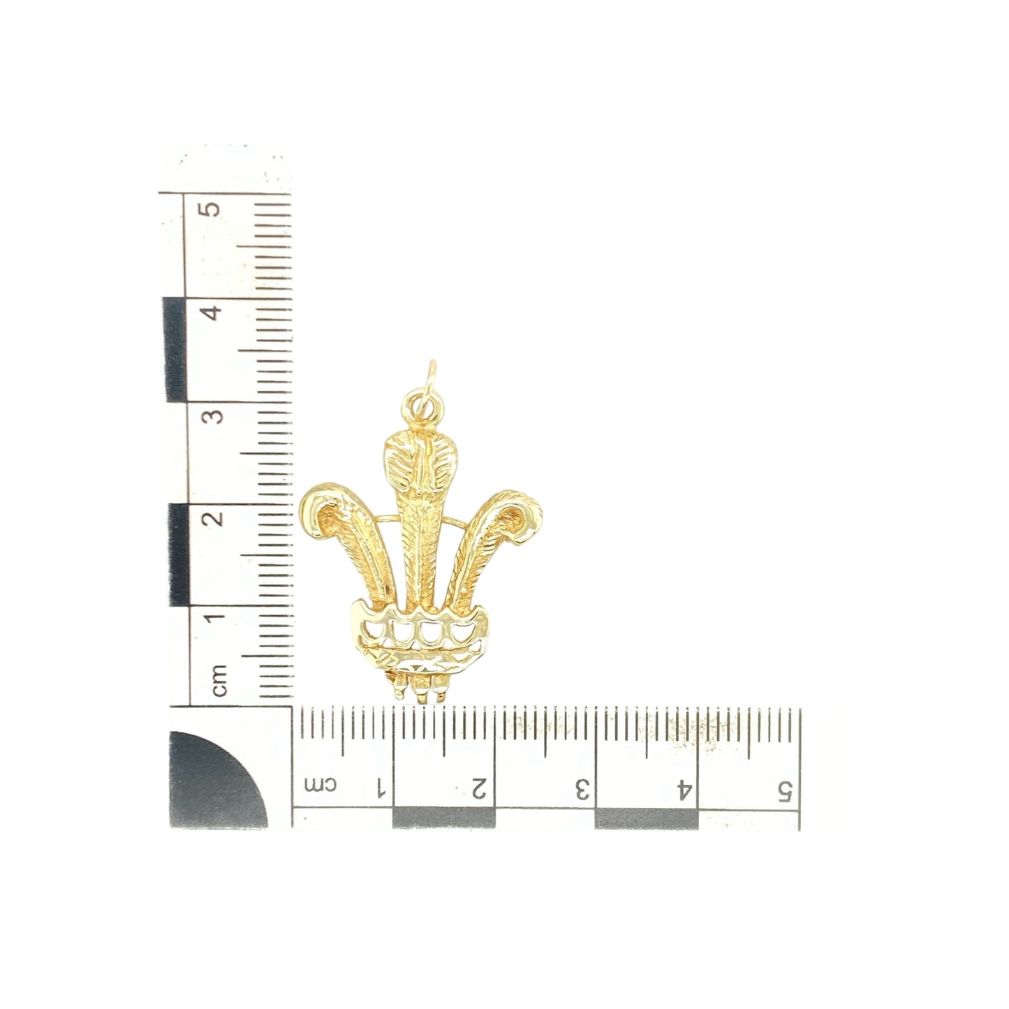 9ct Gold Welsh Three Feathers Pendant