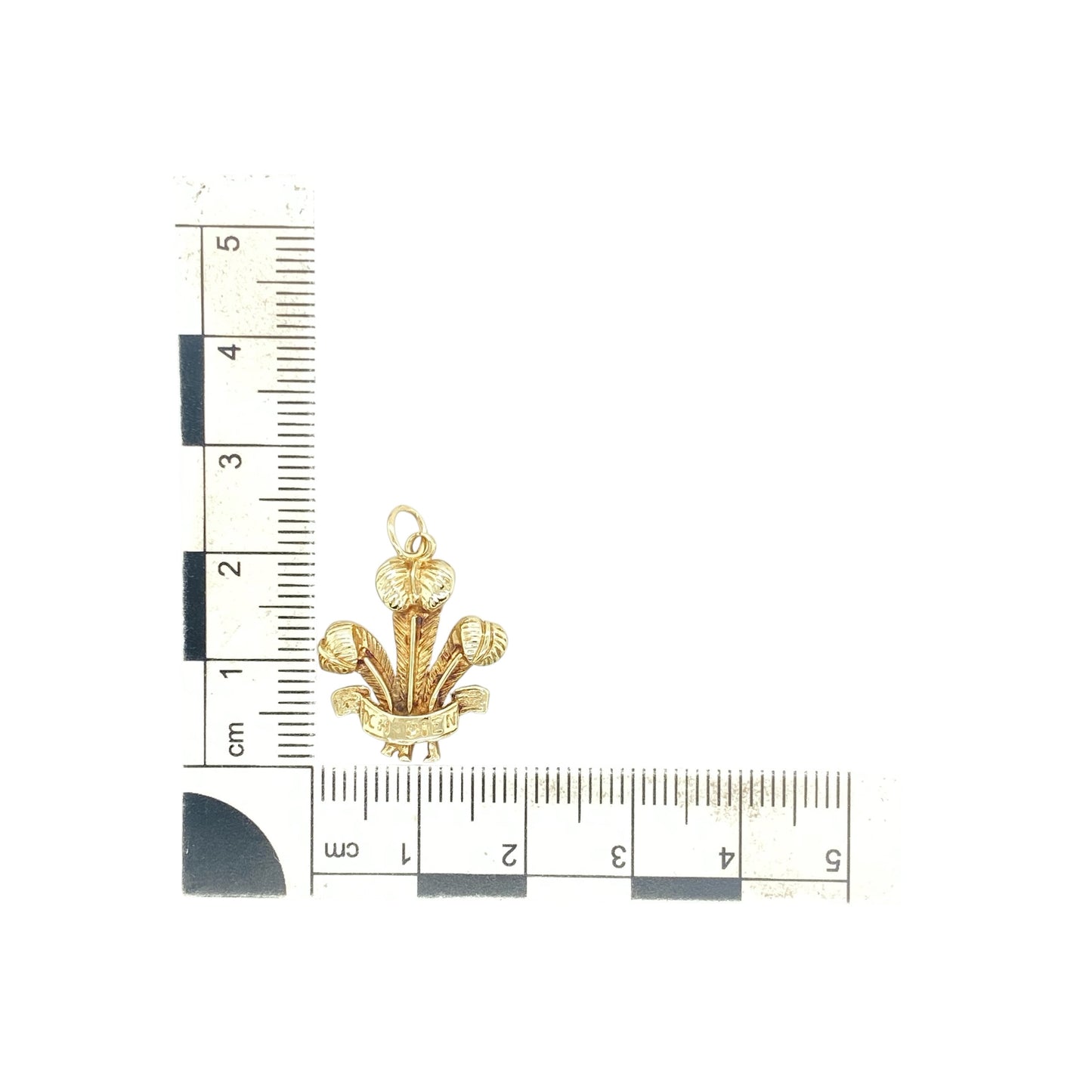 9ct Gold Welsh Three Feathers Pendant