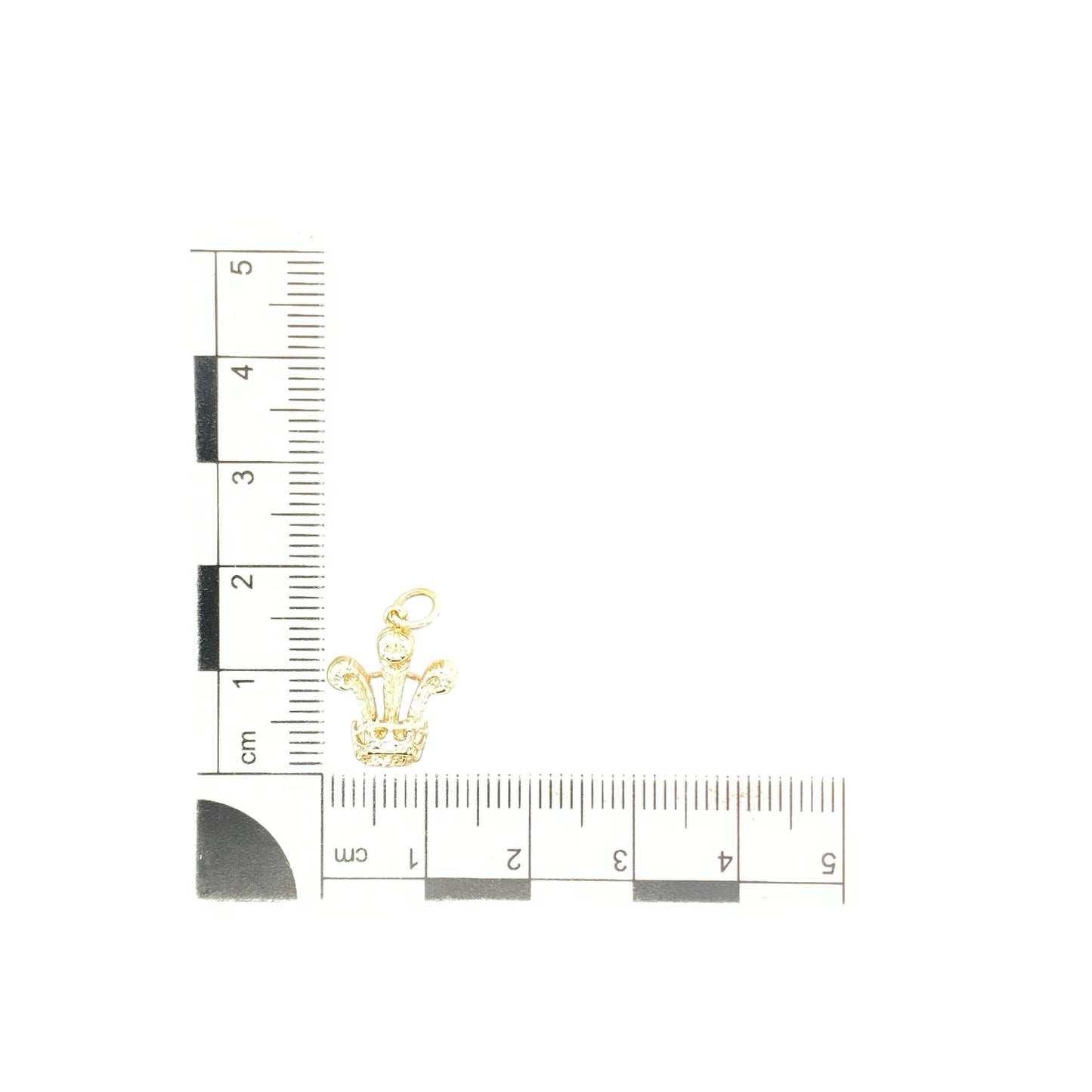 9ct Gold Welsh Three Feathers Pendant