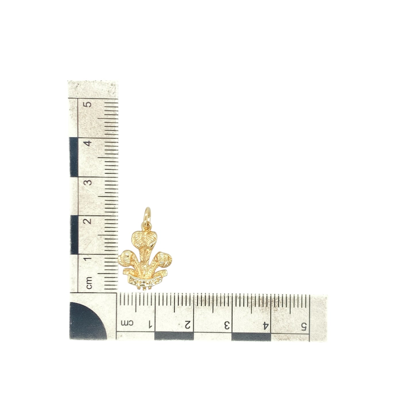 9ct Gold Welsh Three Feathers Pendant