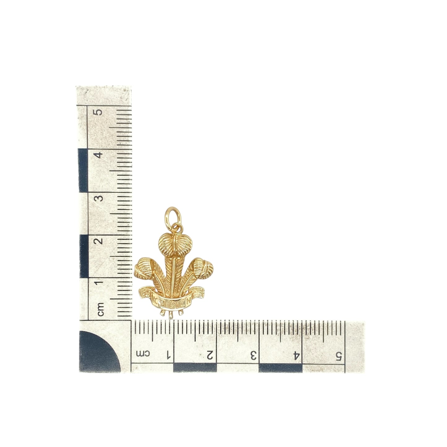 9ct Gold Welsh Three Feathers Pendant