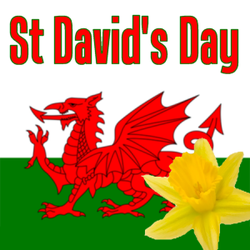 St David's Day fun and celebrations