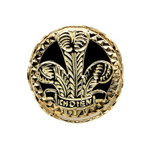 Load image into Gallery viewer, 9ct Gold &amp; Black Stone Three Feather Signet Ring
