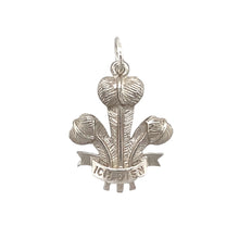 Load image into Gallery viewer, 925 Silver Three Feather Pendant
