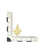 Load image into Gallery viewer, 9ct Gold Welsh Three Feathers Pendant

