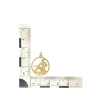 Load image into Gallery viewer, 9ct Gold Water Bearer Aquarius Round Pendant
