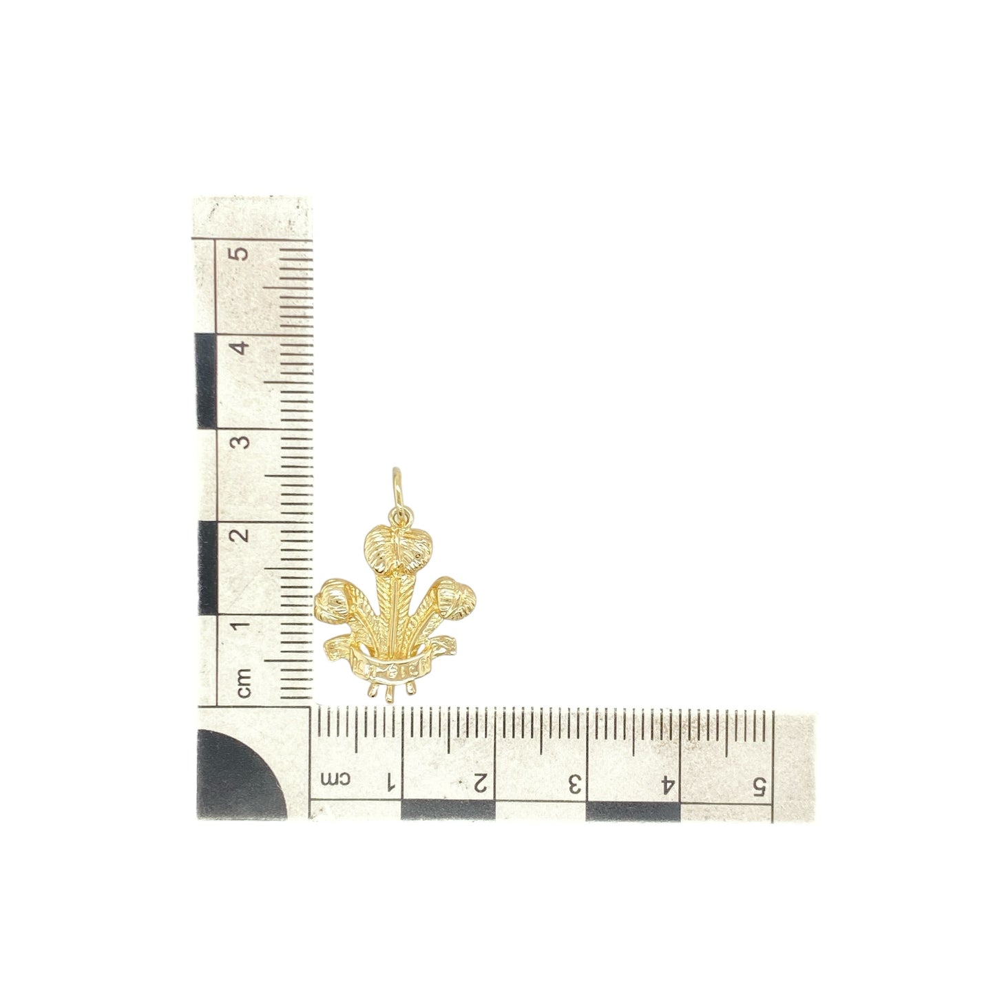 9ct Gold Welsh Three Feathers Pendant