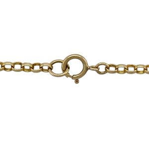 9ct Gold & Amber Round 18" Necklace