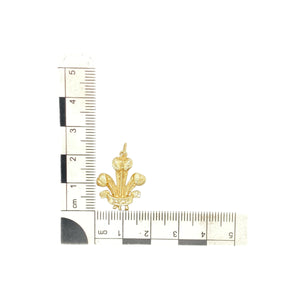 9ct Gold Welsh Three Feathers Pendant