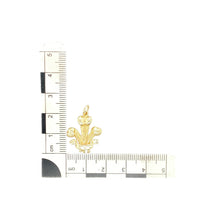 Load image into Gallery viewer, 9ct Gold Welsh Three Feathers Pendant
