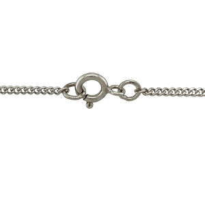 9ct White Gold & Diamond Set Mount with 22ct Gold Half Sovereign 18" Necklace