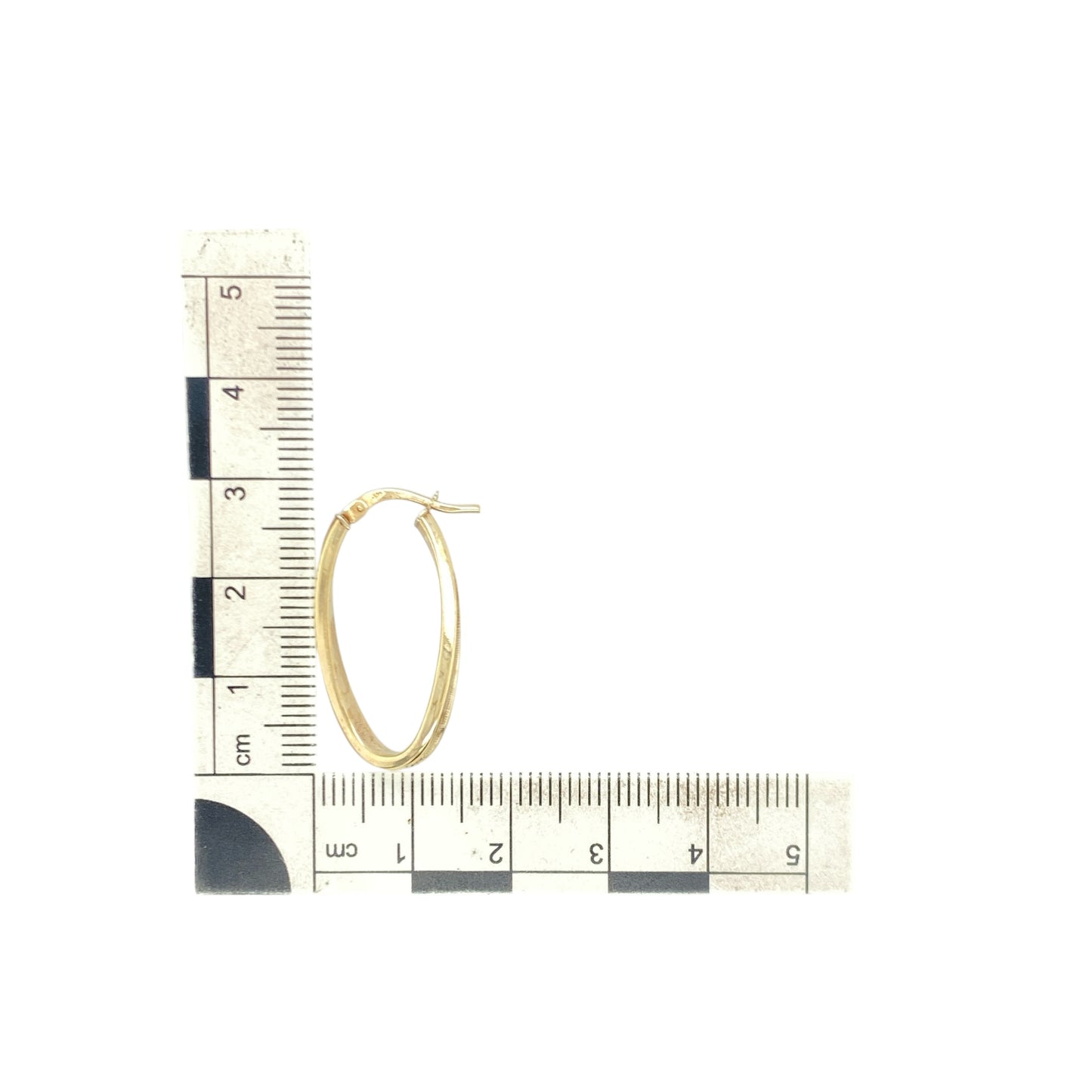 9ct Gold Twisted Oval Creole Earrings