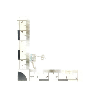 9ct White Gold Diamond & Aquamarine Set Stud Earrings