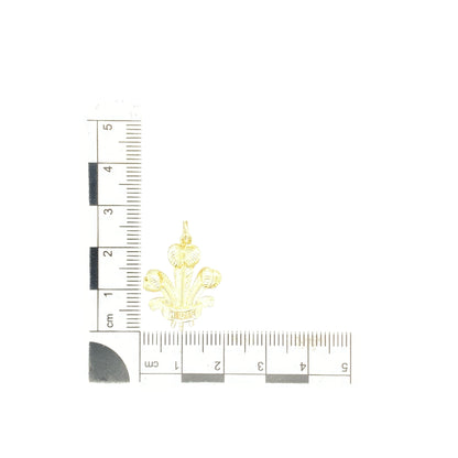 9ct Gold Welsh Three Feathers Pendant