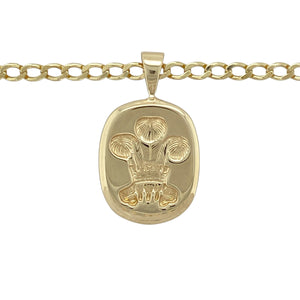 Celebrate heritage and strength with this pre-owned 9ct yellow gold Welsh Three Feathers pendant necklace—a bold and meaningful statement steeped in tradition.

Design: The pendant showcases the iconic Prince of Wales’s Three Feathers emblem, measuring 2.8cm long including the bail. Paired with a classic 18" curb chain, this piece is both striking and steeped in symbolism.
Material: Made from 9-carat yellow gold, the warm, polished finish highlights the detailed design and adds a timeless, elegant feel.

