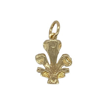 Load image into Gallery viewer, Bring heritage pride and elegant design to your collection with this pre-owned 9ct yellow gold Welsh three feathers pendant—perfect for those who appreciate meaningful symbols with cultural significance.

Design: The pendant features the iconic Prince of Wales three feathers emblem, finely detailed for a refined and recognisable look.
Material: Made from 9-carat yellow gold, the polished finish enhances the warm tone and highlights the intricate craftsmanship.

