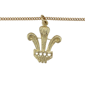 Bring heritage style and symbolic meaning to your collection with this pre-owned 9ct yellow gold Welsh three feathers pendant on a 20" curb chain, a traditional emblem of pride and unity—perfect as a meaningful keepsake or statement accessory.

Design: The pendant measures 3.6cm long including the bail and features the iconic three feathers motif, detailed with fine engraving for a distinguished look.
