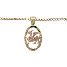 Load image into Gallery viewer, Bring cultural pride and striking detail to your collection with this pre-owned 9ct yellow and rose gold Welsh dragon pendant on a 20&quot; curb chain, a powerful emblem of heritage and strength—perfect as a meaningful keepsake or bold accessory.

Design: The pendant measures 2.7cm long including the bail and features an oval frame with the iconic Welsh dragon in rose gold, set against a yellow gold backdrop for striking contrast.

