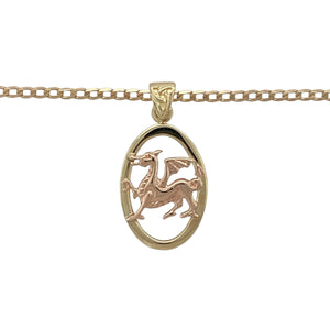 Bring cultural pride and striking detail to your collection with this pre-owned 9ct yellow and rose gold Welsh dragon pendant on a 20" curb chain, a powerful emblem of heritage and strength—perfect as a meaningful keepsake or bold accessory.

Design: The pendant measures 2.7cm long including the bail and features an oval frame with the iconic Welsh dragon in rose gold, set against a yellow gold backdrop for striking contrast.
