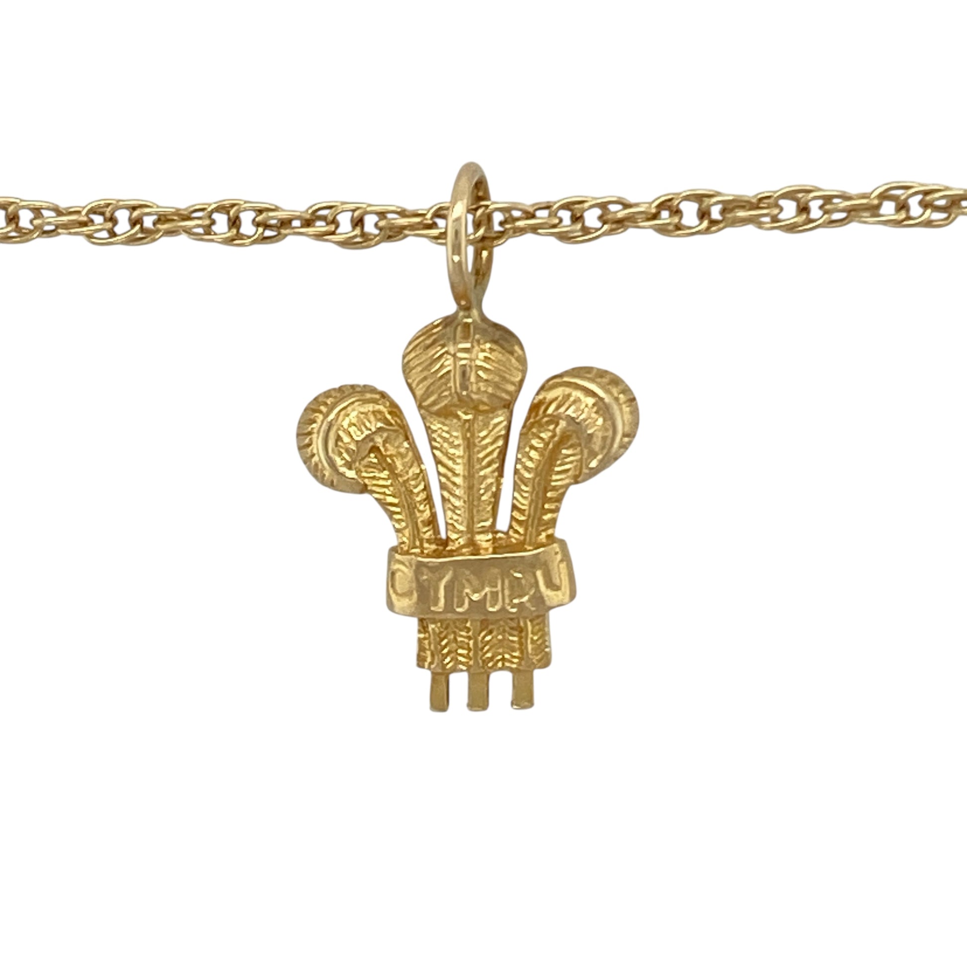 Bring elegance, heritage, and timeless meaning to your collection with this pre-owned 9ct yellow gold Welsh Three Feathers pendant on an 18" Prince of Wales chain necklace—a refined design celebrating Welsh pride and craftsmanship.

Design: The pendant features the iconic Welsh Three Feathers emblem, symbolising courage, honour, and loyalty. The detailed engraving and polished finish create a distinguished and elegant appearance.