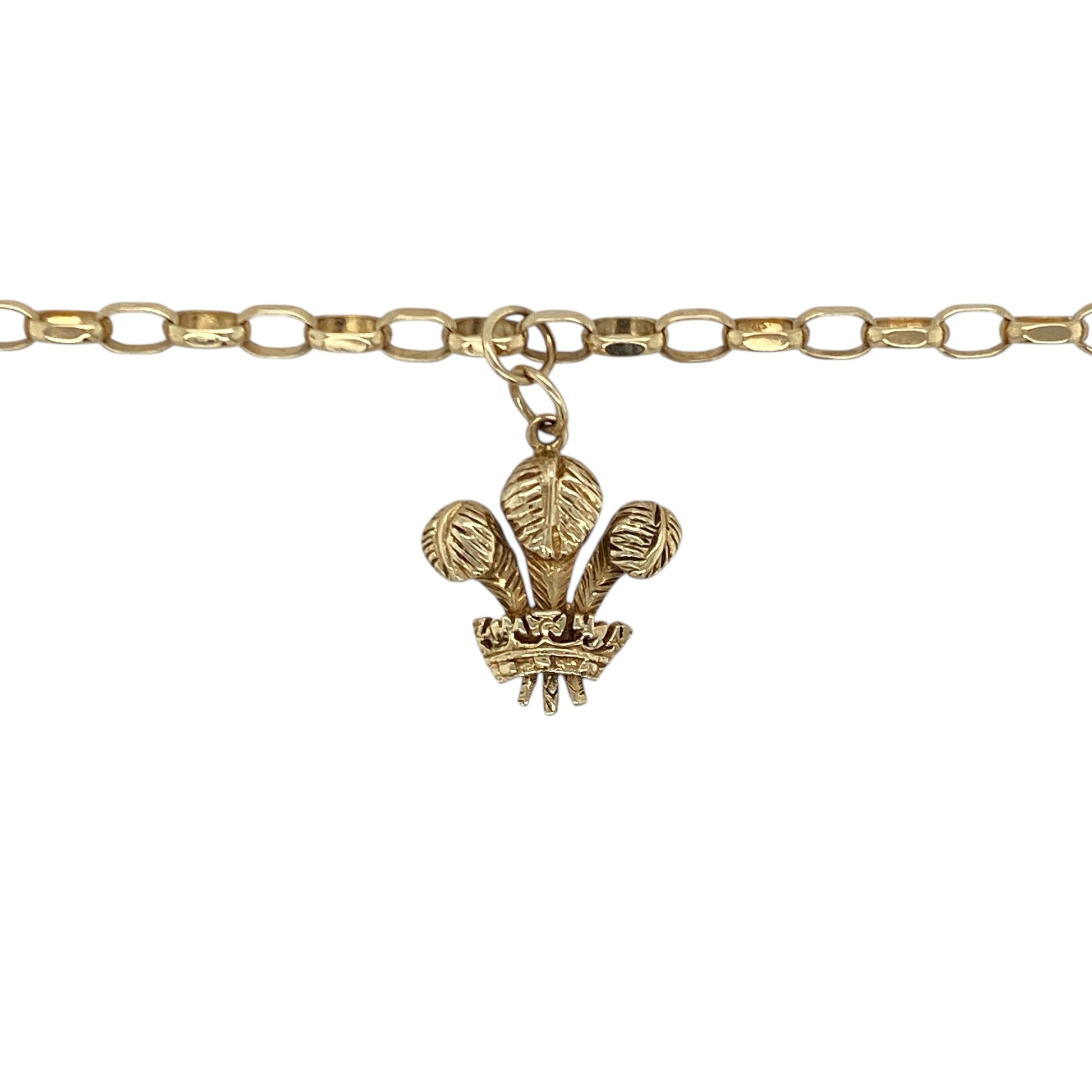 Bring meaningful heritage and warm golden shine to your collection with this pre-owned 9ct yellow gold Welsh Three Feathers pendant necklace—an elegant piece offering timeless symbolism and refined style.

Design: This 2.6cm pendant (including the jump rings) features the traditional Welsh Three Feathers emblem, showcasing detailed craftsmanship and iconic cultural significance.