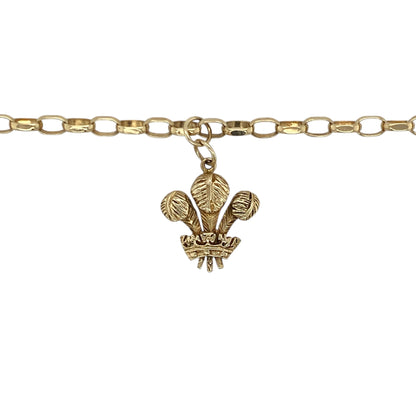 Bring meaningful heritage and warm golden shine to your collection with this pre-owned 9ct yellow gold Welsh Three Feathers pendant necklace—an elegant piece offering timeless symbolism and refined style.

Design: This 2.6cm pendant (including the jump rings) features the traditional Welsh Three Feathers emblem, showcasing detailed craftsmanship and iconic cultural significance.