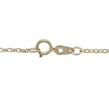 Load image into Gallery viewer, 9ct Gold George and the Dragon 20&quot; Necklace
