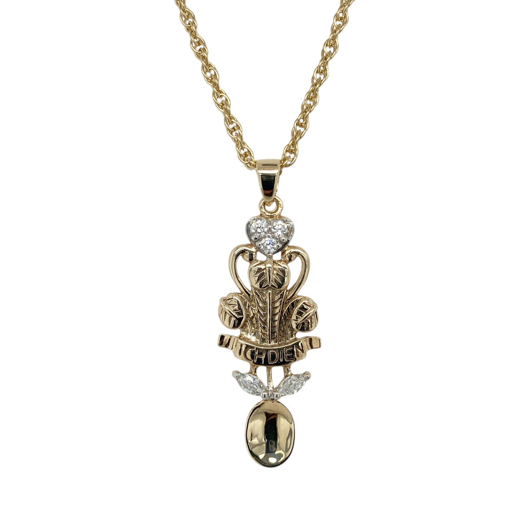 9ct Gold & Cubic Zirconia Set Welsh Three Feathers Lovespoon 20