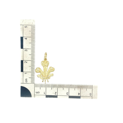 9ct Gold Welsh Three Feathers Pendant