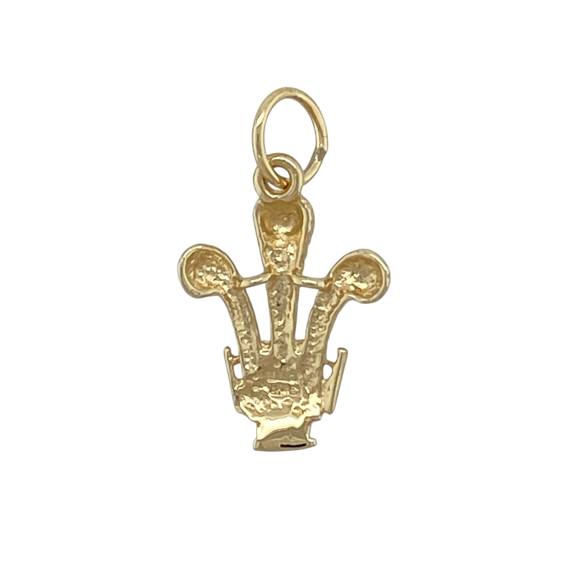 Add proud Welsh symbolism and classic style to your jewellery collection with this pre-owned 9ct yellow gold Welsh three feathers pendant, offering timeless heritage appeal in a refined design—perfect for everyday wear or meaningful gifting.

Design: The pendant features the iconic Welsh three feathers motif, a traditional symbol of Welsh identity and pride, presented in a clean and elegant form.