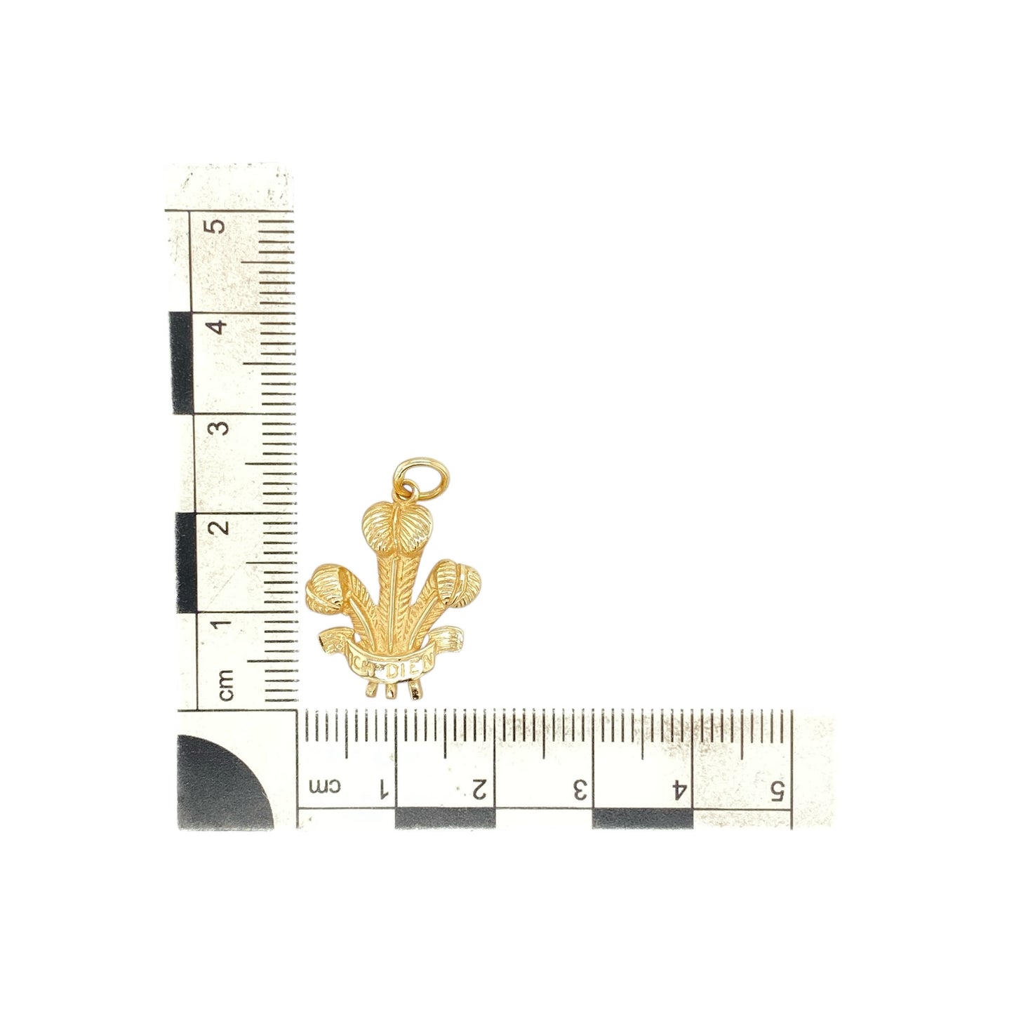 9ct Gold Welsh Three Feathers Pendant