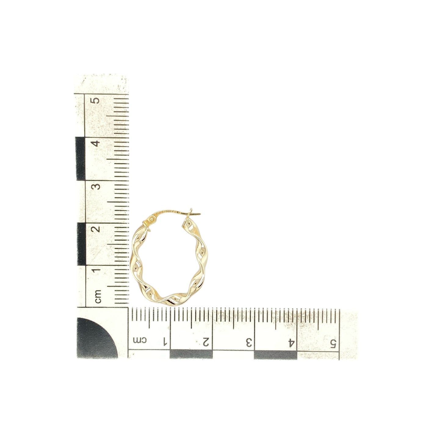 9ct Gold Twisted Oval Creole Earrings