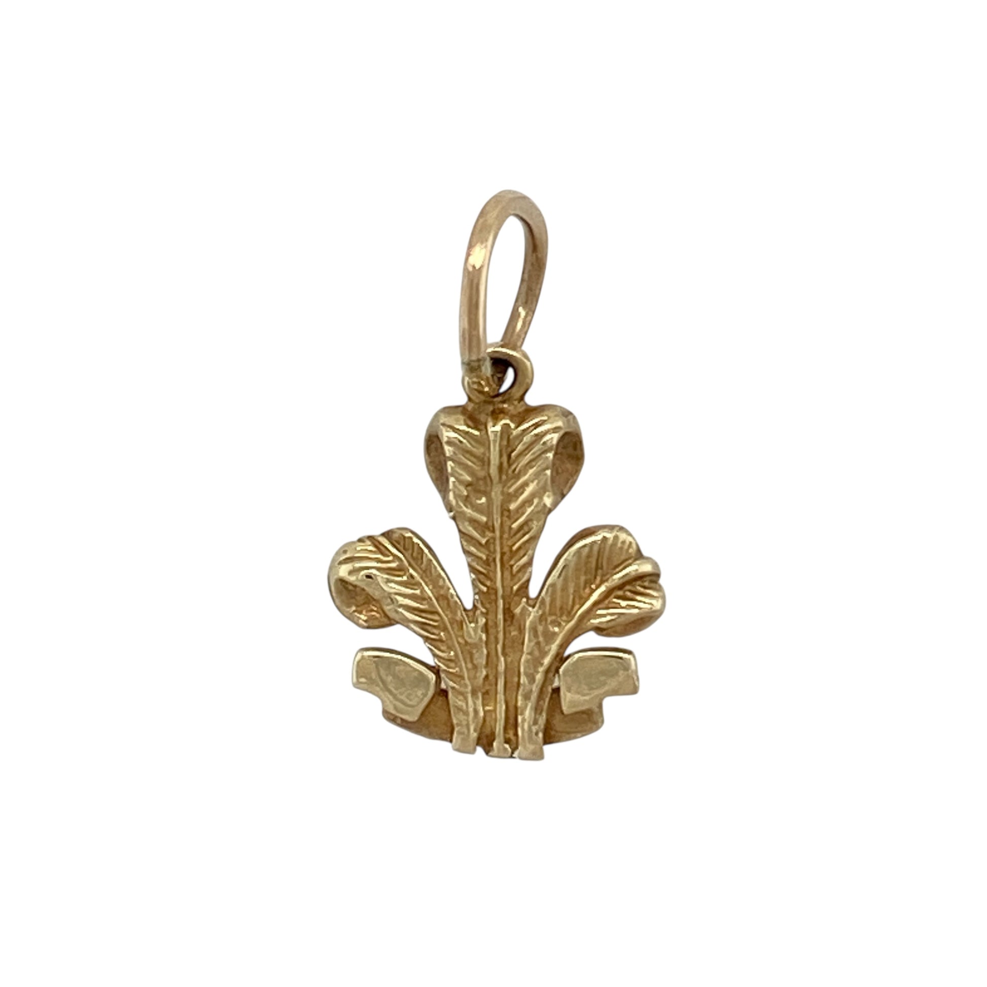 Celebrate heritage and tradition with this pre-owned 9ct yellow gold Welsh Three Feathers pendant—an iconic symbol presented in timeless gold.

Design: The pendant features the recognisable Welsh Three Feathers emblem, showcasing fine detailing that brings depth and definition to the classic design. Its bold yet refined profile makes it suitable for everyday wear or special occasions.