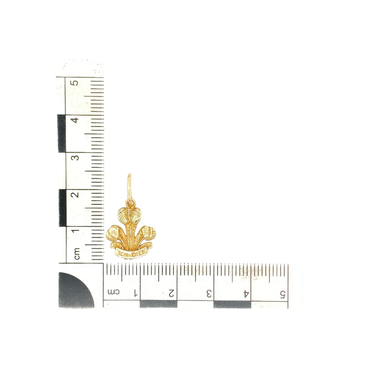 9ct Gold Welsh Three Feathers Pendant