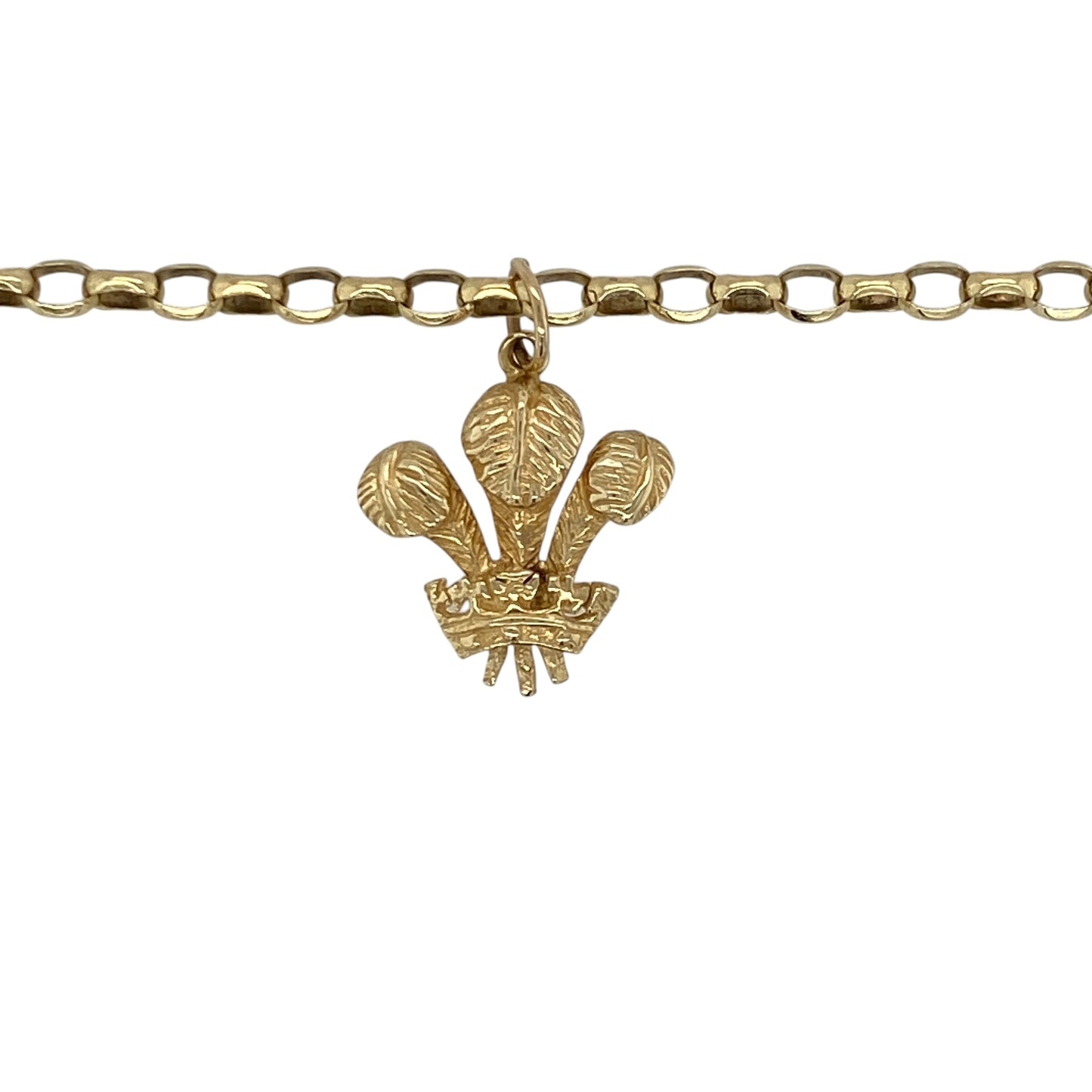 Add a meaningful and heritage-inspired piece to your jewellery collection with this pre-owned 9ct yellow gold Welsh Three Feathers pendant on a 22" belcher chain necklace, combining iconic symbolism with classic style—perfect for everyday wear or as a thoughtful gift.

Design: The necklace features the iconic Welsh Three Feathers motif, symbolising strength and heritage, suspended from a traditional belcher chain for a timeless look.