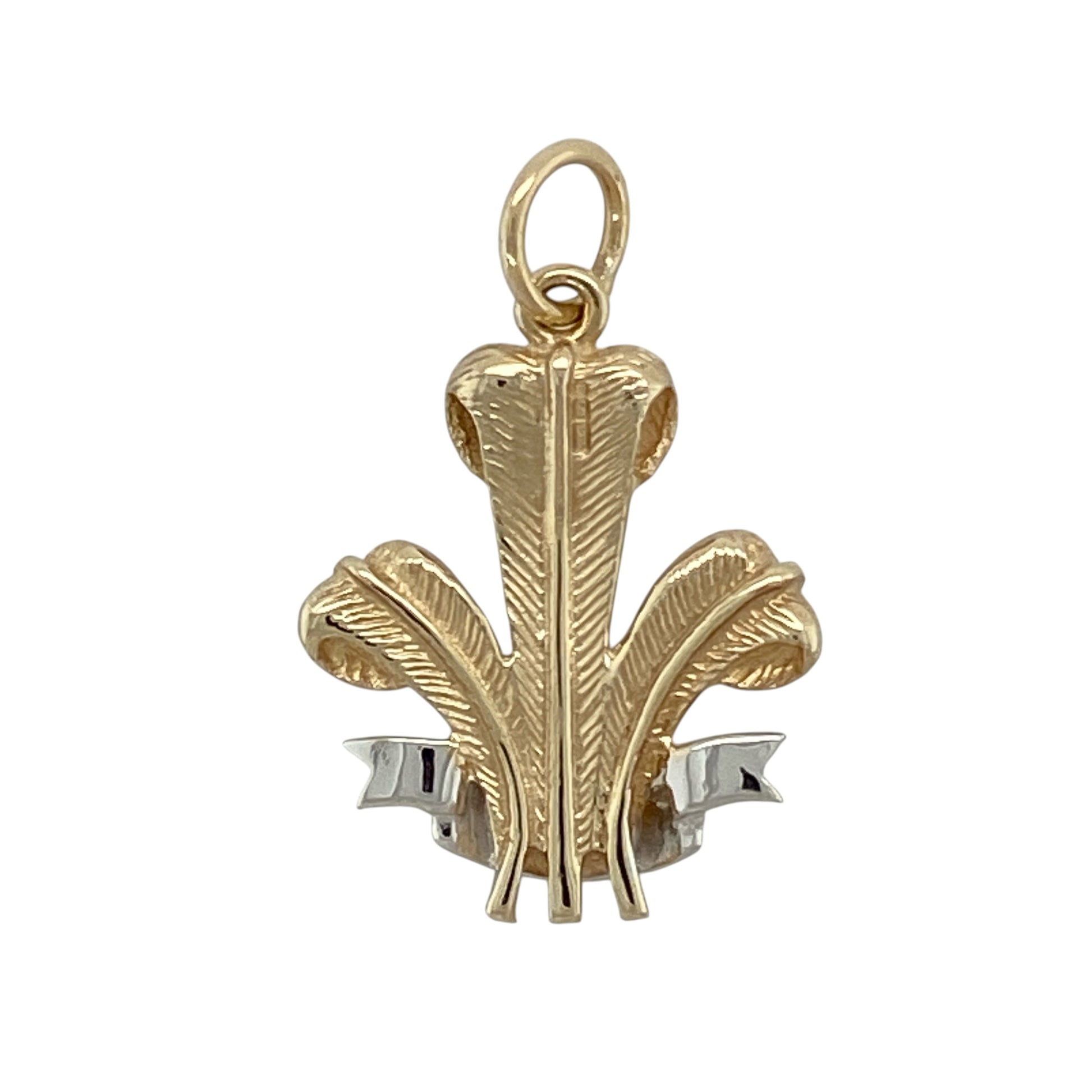 Add heritage-inspired elegance to your jewellery collection with this pre-owned 9ct yellow and white gold Welsh Three Feathers pendant, featuring a bold and meaningful design—perfect for everyday wear or special occasions.

Design: The pendant showcases the iconic Welsh Three Feathers motif, creating a striking and recognisable symbol with intricate detailing.
Material: Made from 9ct yellow and white gold, the contrasting tones enhance the design while adding depth and visual interest.