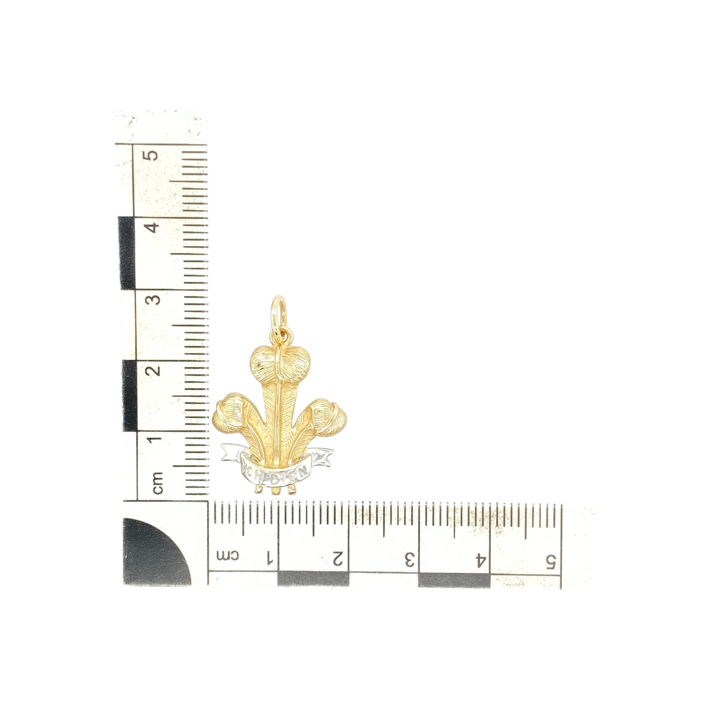 9ct Gold Welsh Three Feathers Pendant