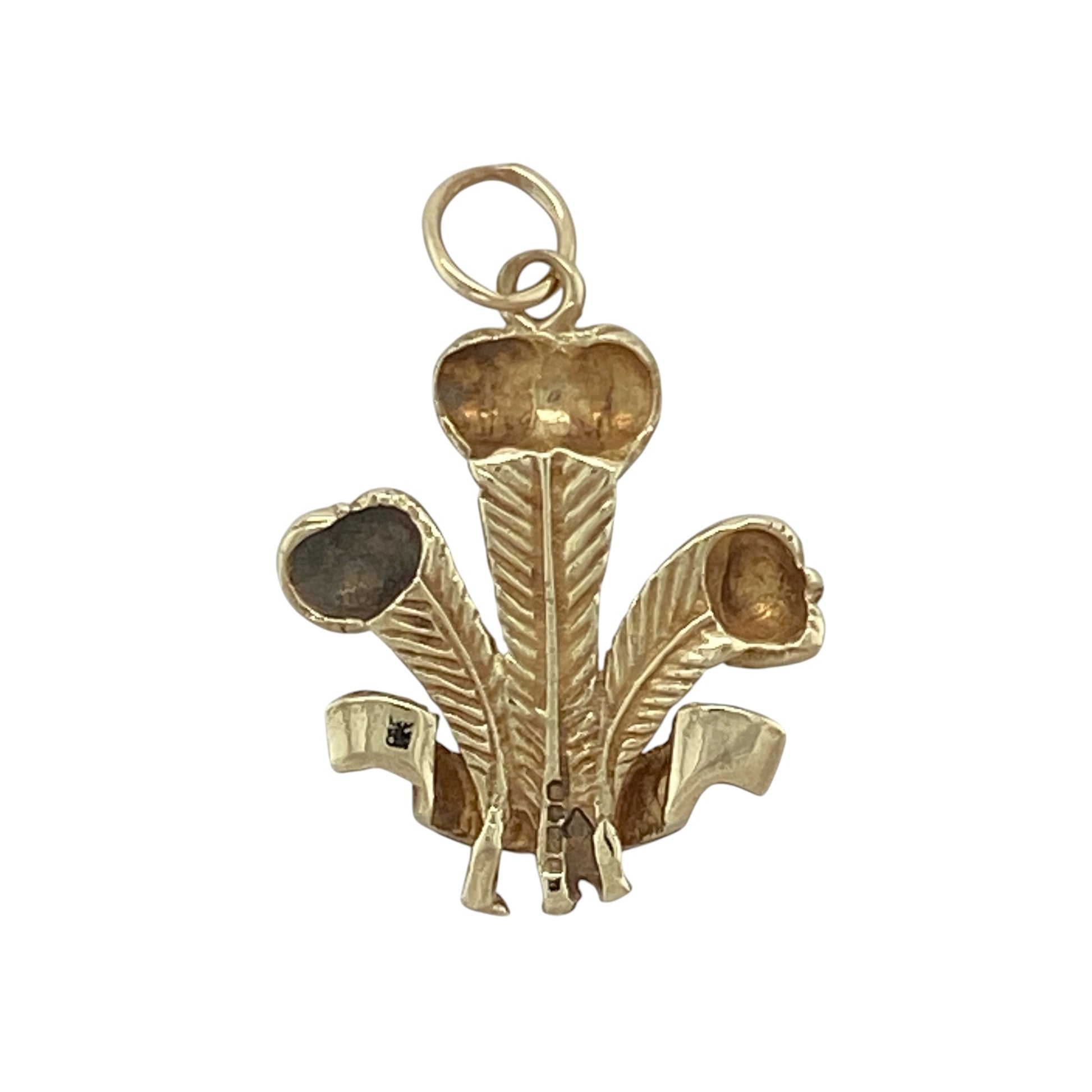 Celebrate heritage and timeless symbolism with this pre-owned 9ct yellow gold Welsh Three Feathers pendant—an elegant and meaningful piece with classic appeal.

Design: The pendant features the iconic Welsh Three Feathers emblem, a well-known symbol associated with Prince of Wales’s Feathers, offering a distinctive and recognisable design.
Material: Made from 9-carat yellow gold, the polished finish enhances the warmth of the metal while highlighting the detailed motif.
