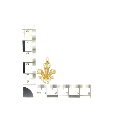 9ct Gold Welsh Three Feathers Pendant