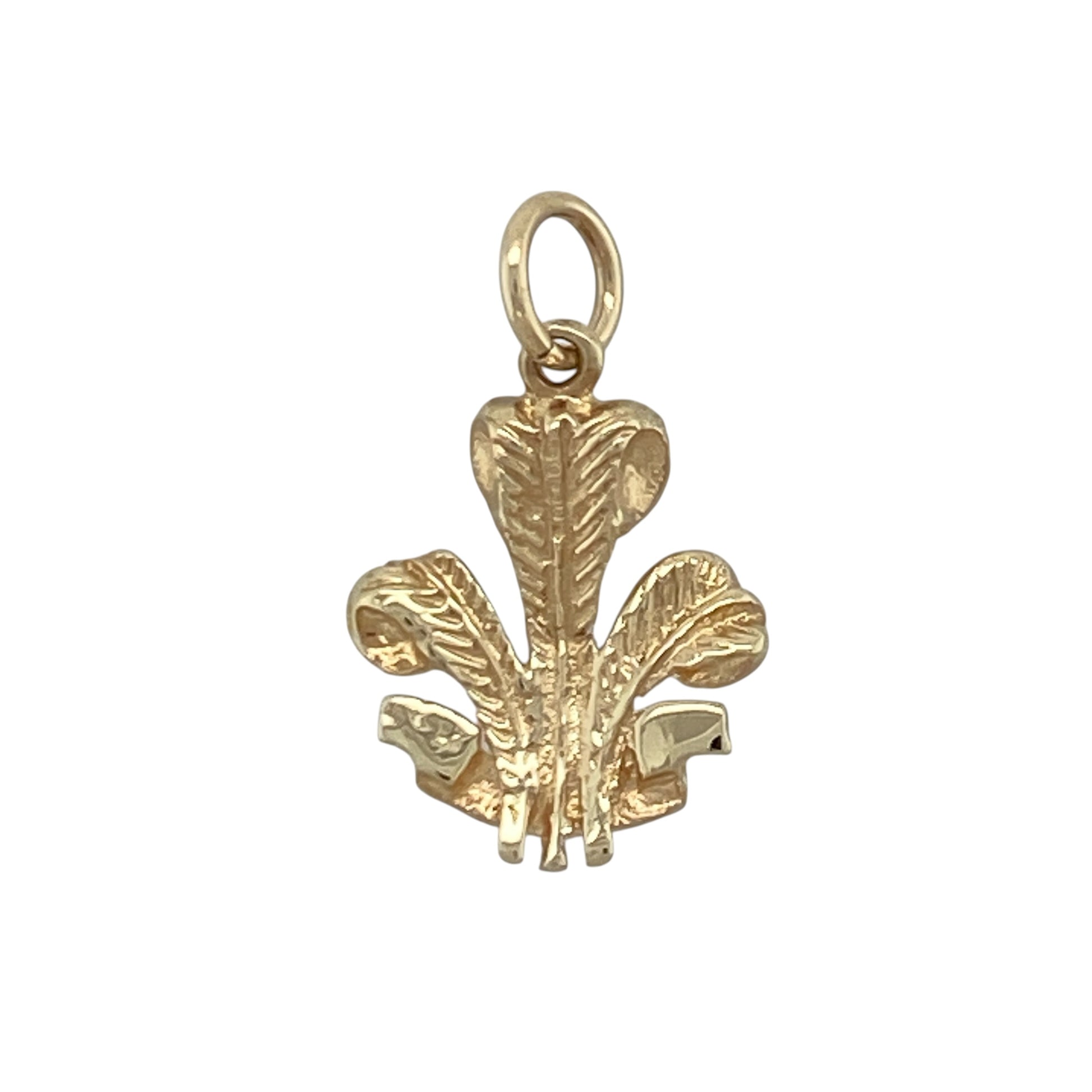 Celebrate Welsh heritage with this pre-owned 9ct yellow gold Welsh Three Feathers pendant, featuring a timeless and meaningful design with classic everyday appeal—perfect for gifting, commemorating Welsh roots, or adding a symbolic piece to your jewellery collection.

Design: The pendant showcases the iconic Welsh Three Feathers emblem, a distinctive and instantly recognisable symbol rich in history and tradition.