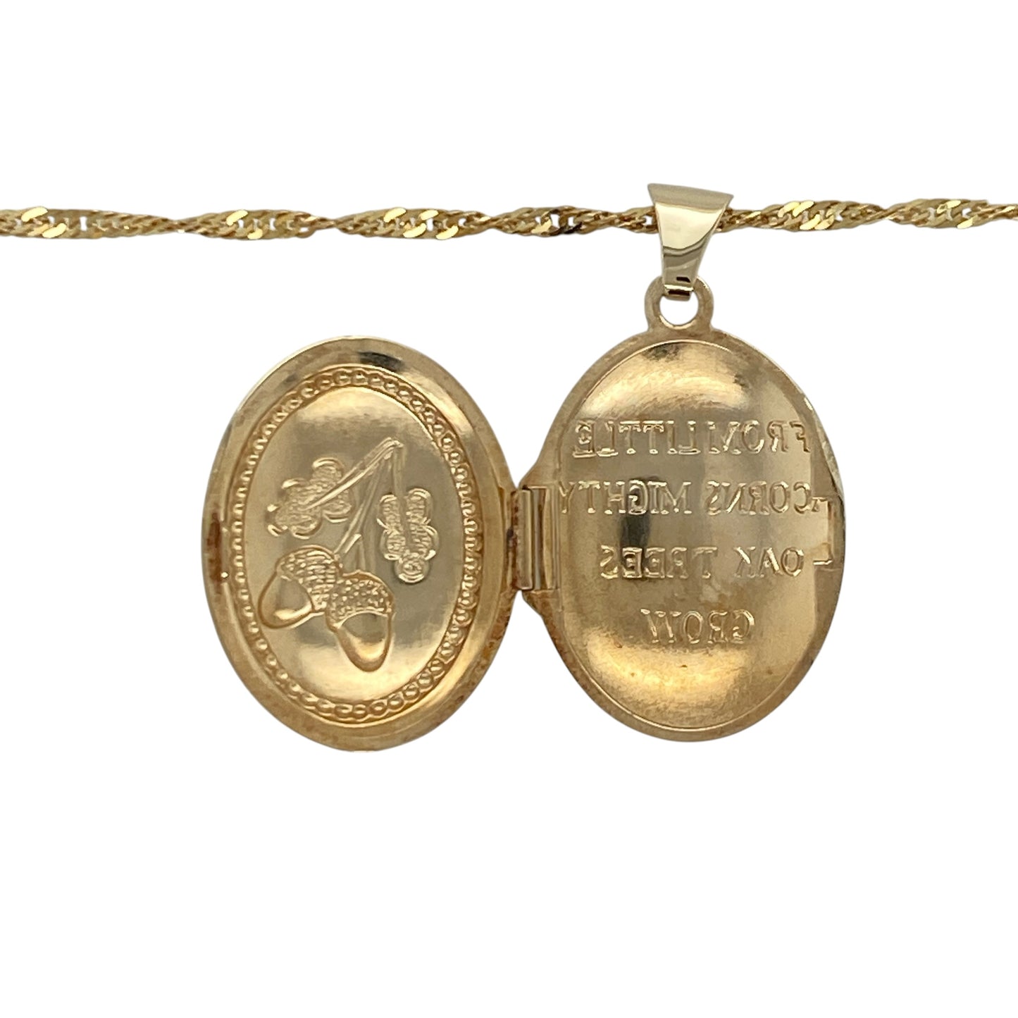 9ct Gold Acorn Oval Locket 18" Necklace