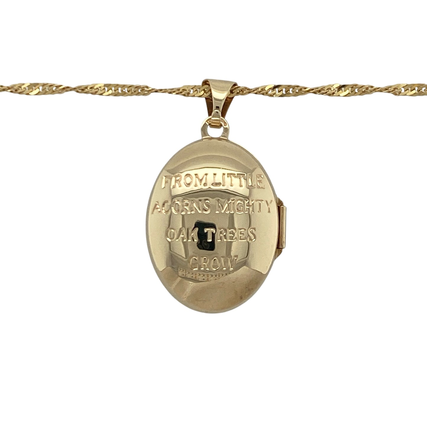 9ct Gold Acorn Oval Locket 18" Necklace