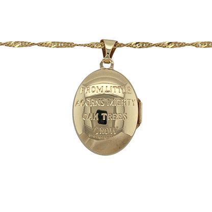 9ct Gold Acorn Oval Locket 18" Necklace
