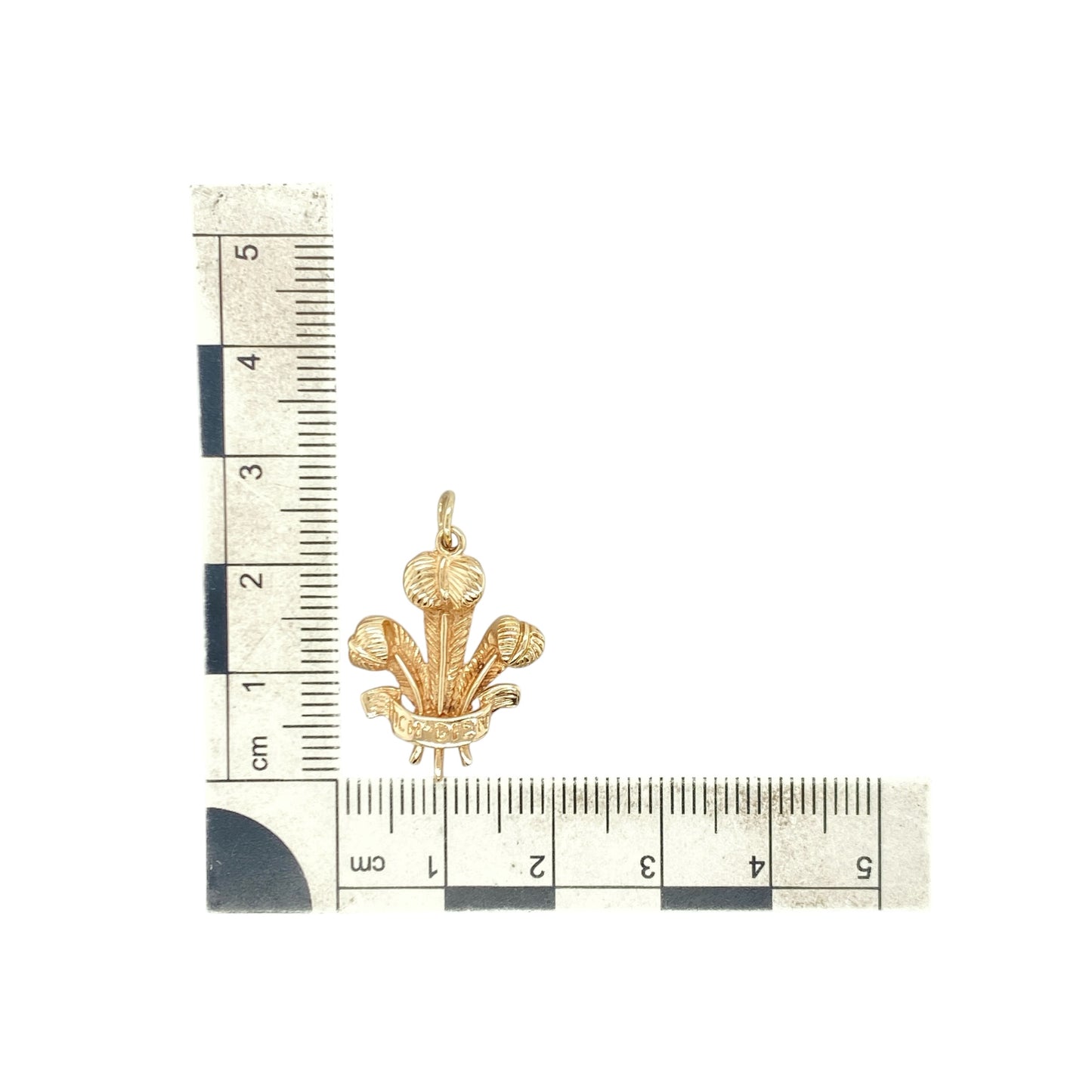 9ct Gold Welsh Three Feathers Pendant