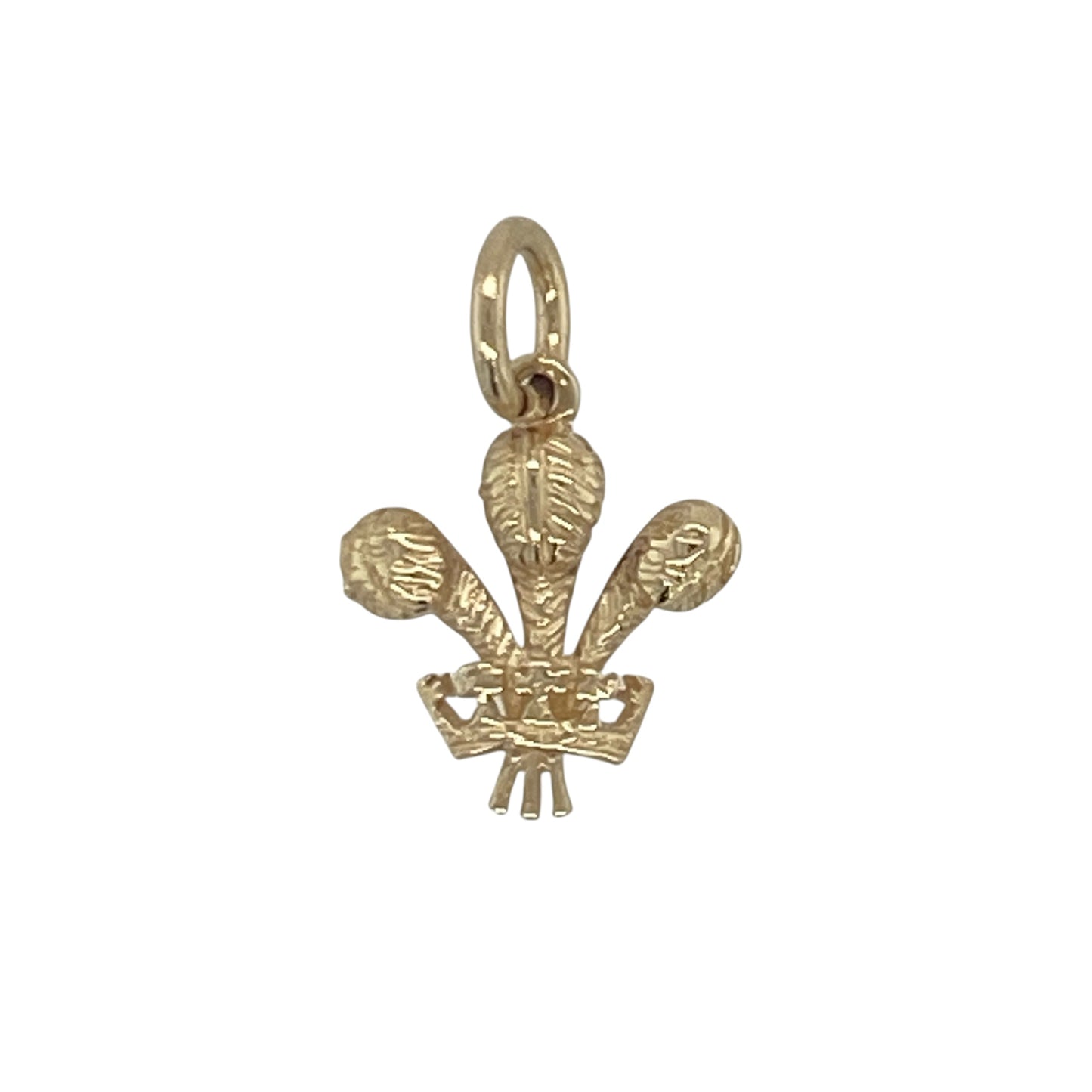 9ct Gold Welsh Three Feathers Pendant